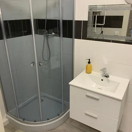 Zizkova Apartament *