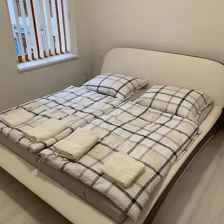 Zizkova S Parkovanim- Ideani Pro Firmy *