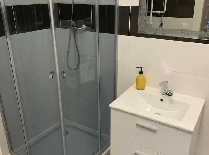 Zizkova - Ideani Pro Firmy Apartment *