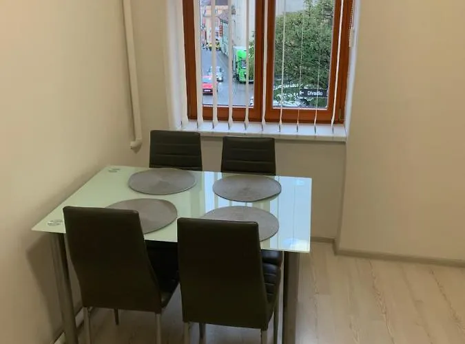 Apartment Zizkova - Ideani Pro Firmy